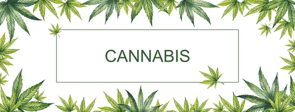 Banner av gröna blad av cannabis på en vit bakgrund. Akvarell illustration. I centrum finns en plats för din text. — Stockfoto