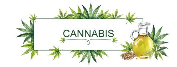 Aquarell-Banner mit Cannabisblättern, Cannabissamen und einem Krug Öl. Das Banner ist auf weißem Hintergrund. — Stockfoto