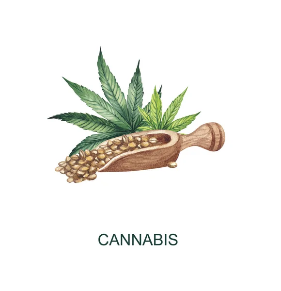 Ilustração aquarela. Colher de madeira com sementes de cânhamo em um fundo de folhas de cannabis . — Fotografia de Stock