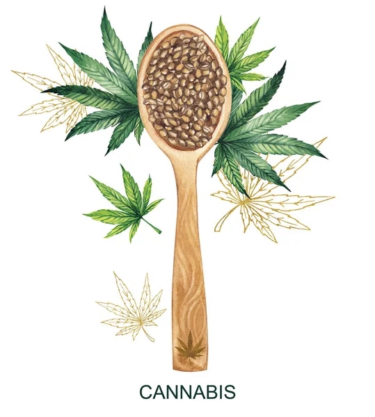Ilustración en acuarela. Una cuchara grande de madera con semillas de cáñamo sobre un fondo de hojas de cannabis . — Foto de Stock