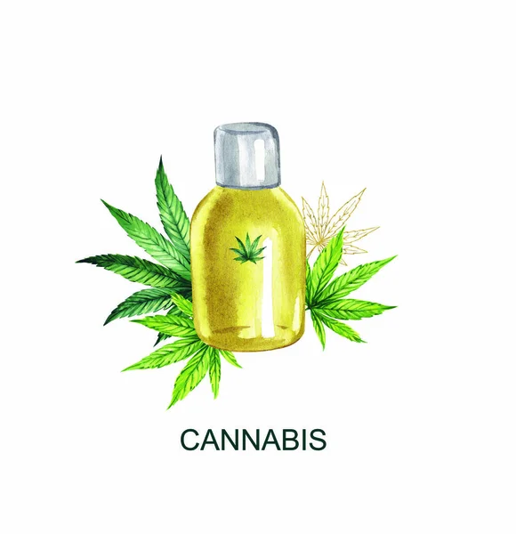 Ilustração aquarela. Óleo de cannabis num frasco transparente fechado contra o fundo das folhas de cannabis . — Fotografia de Stock