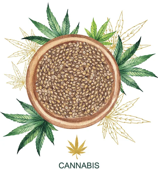 Watercolor illustration. Wooden bowl with hemp seeds on a background of hemp leaves. Medical marijuana. — Stock Photo, Image