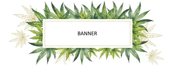 Aquarelillustratie. Banner met cannabisbladeren op een witte achtergrond. Het ontwerp bevat bladeren met een goudkleurig effect. — Stockfoto