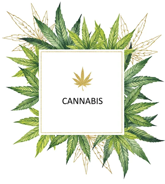 Watercolor illustration. Square frame with green and golden cannabis leaves on a white background. — Stock Photo, Image