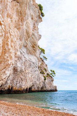 Adriyatik deniz dalgaları ve rüzgârla aşınmış yüksek büyüklükteki kayalık kayalıklarla çevrili güzel çakıl taşı plajı. Yeşil Halep çamları kayaların üzerinde büyüyor. Zümrüt su kıyıları yıkıyor.