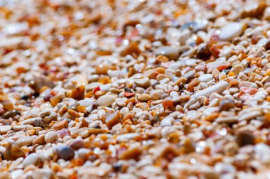 İtalya 'nın Gargano Ulusal Parkı' ndaki Baia delle Zagare plajında Adriyatik Denizi 'ndeki su dalgalarıyla yıkanan çakıl taşları.