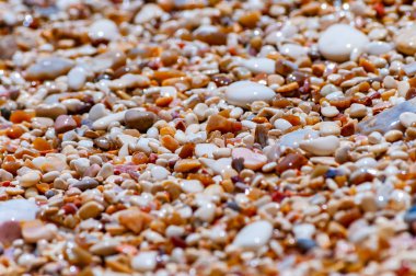 İtalya 'nın Gargano Ulusal Parkı' ndaki Baia delle Zagare plajında Adriyatik Denizi 'ndeki su dalgalarıyla yıkanan çakıl taşları.