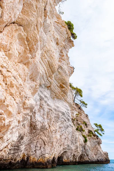 Hermosa playa de guijarros rodeada de altos acantilados rocosos de piedra caliza blanca masiva erosionada por las olas del mar Adriático y el viento. Pinos verdes de Alepo creciendo en las rocas. Agua esmeralda lavando la costa — Foto de Stock