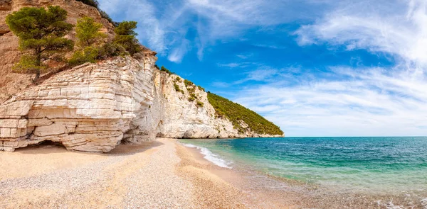 Beautiful pebble beach surrounded by high massive white limestone rocky cliffs eroded by Adriatic sea waves and wind. Green Aleppo pines growing on the rocks. Emerald water washing the coastline — стокове фото
