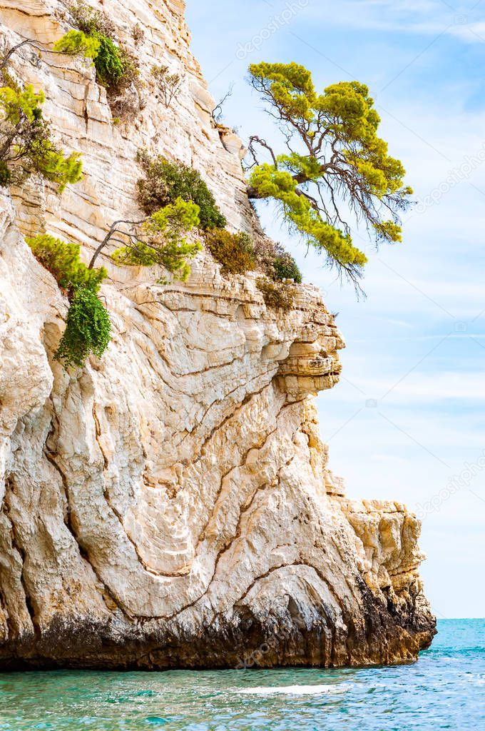 Beautiful pebble beach surrounded by high massive white limestone rocky cliffs eroded by Adriatic sea waves and wind. Green Aleppo pines growing on the rocks. Emerald water washing the coastline