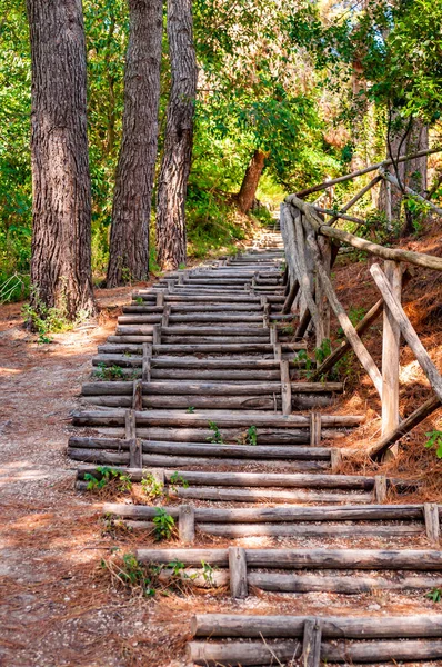 意大利努曼周围森林中无尽的弯曲的木台阶和交叉的木栏杆 — 图库照片