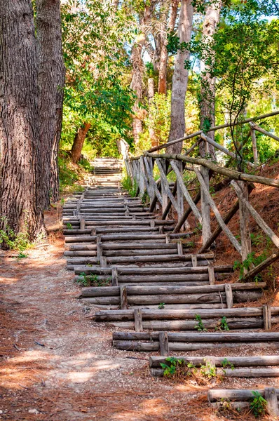 Pasos de troncos de madera curvados interminables con barandillas de troncos cruzados en el bosque de Numana, en Italia —  Fotos de Stock