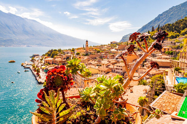 Vibrant succulents growing in a flowerpot on the balcony with Limone Sul Garda cityscape on background. Shore of Garda lake surrounded by scenic Northern Italian nature. Amazing Italian cities