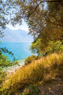 Dolomite dağlarının altında Garda Gölü 'nün sahili. Garda Gölü 'nün güzel kıyısında yüksek kayalıkların altında ağaç ve bitkiler yetişiyor. Lombardy, İtalya 'nın Doğa Manzarası