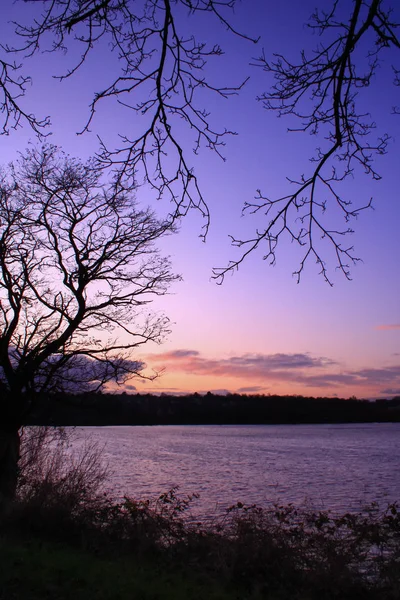 日落时 湖边美丽的冬季风景 有粉红的云彩 没有叶子的树在前景中 — 图库照片
