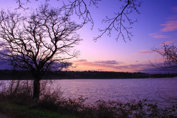 Wunderschöne Winterlandschaft See Bei Sonnenuntergang Blauer Himmel Mit Rosa Wolken — Stockfoto