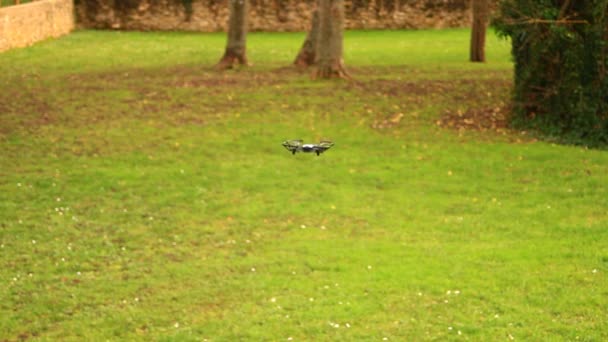 Malý Dron Zahradě Dělá Salto Během Akrobacie Malá Letadla Bez — Stock video