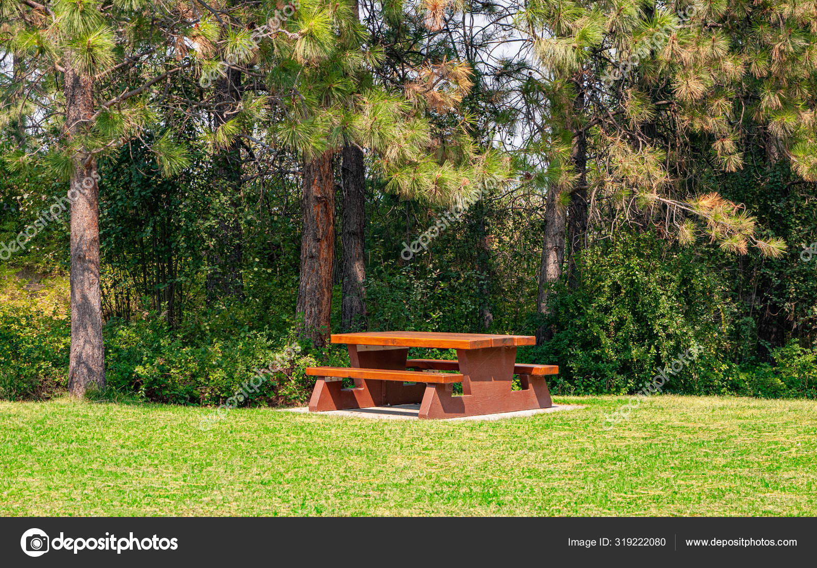 Banco de madera en el parque — Foto de stock © Imagenet #319222080