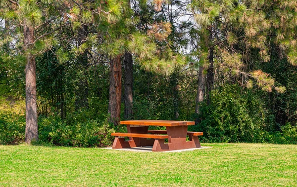 Rest area with wooden table on hike route in shadow of the trees. — Stock Photo, Image