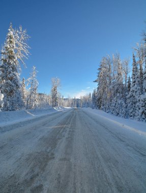 Manning Park 'taki kış ormanı boyunca kar yolu..
