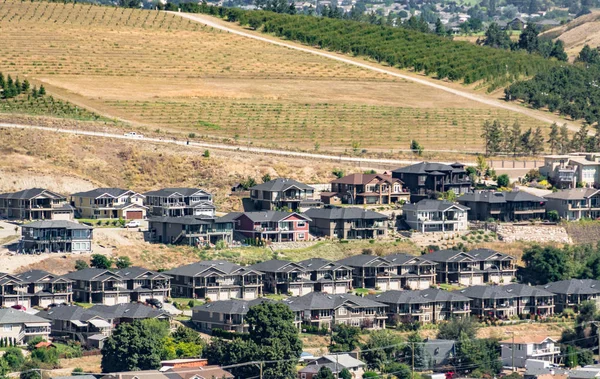 Bloque de grandes casas residenciales en zona suburbana cerca de campos agrícolas — Foto de Stock