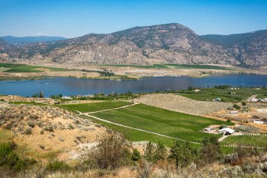 Konut alanı ve meyve bahçesi çiftlik alanları ile Okanagan vadisi panoramik görünümü