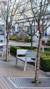 Metal bankları ve yan tarafları ağaçlarla süslenmiş bir şehirde Paved geçidi.