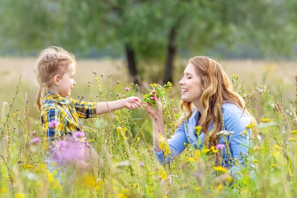 美丽而又活泼的女婴 年轻的母亲穿着休闲装 在户外的夏天的草地上玩乐采花 幸福家庭关系的概念 — 图库照片