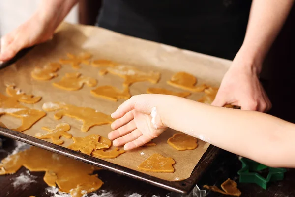 Pane di zenzero di Natale e biscotti alle spezie — Foto Stock