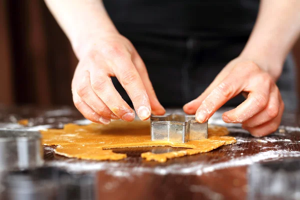 Du pain d'épice fait maison. Biscuits au gingembre . — Photo