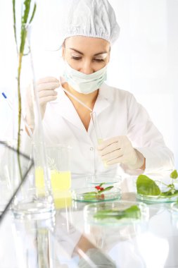Biotechnology. Genetic engineering in plant breeding. clipart