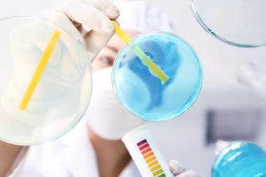 Mühendislik. Laboratuvar testleri