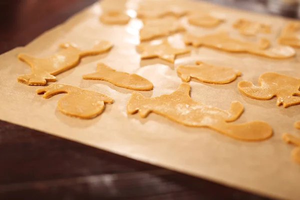 Pan de jengibre casero. Galletas de jengibre . — Foto de Stock