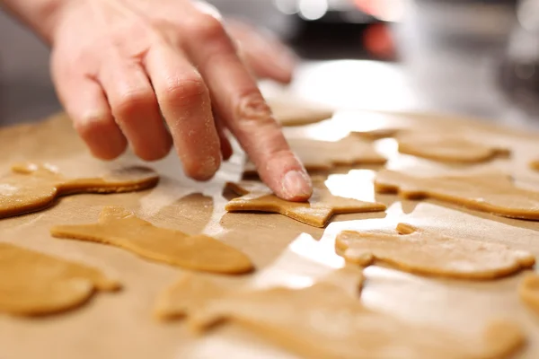 Zázvorové sušenky. Domácí pečení cookies vaření. — Stock fotografie