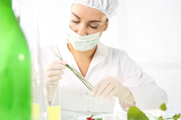 Laboruntersuchungen Pflanzenproben. — Stockfoto