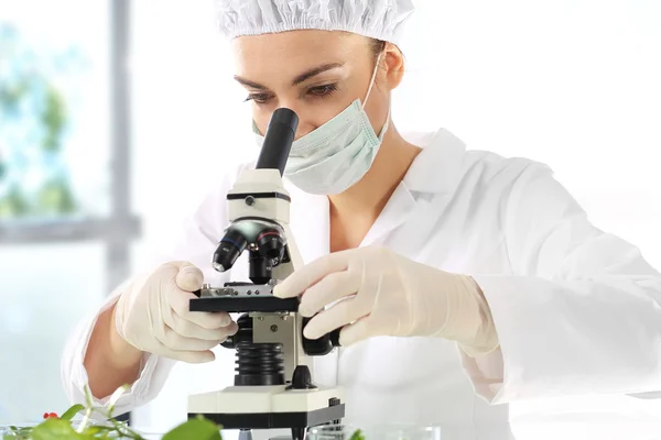 Biotecnología en fitomejoramiento . — Foto de Stock