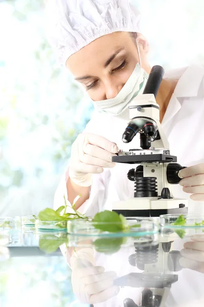 Biotechnology and genetic engineering. — Stock Photo, Image