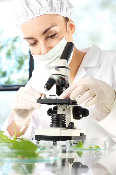 Biotecnología e ingeniería genética . — Foto de Stock