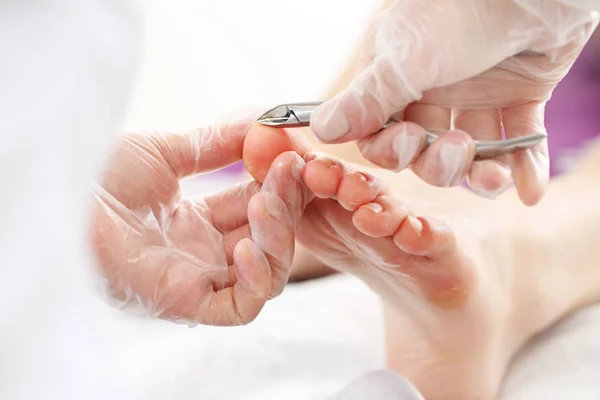Professional pedicure in the beauty salon. — Stock Image Professional pedicure in the beauty salon. Stock Photo
