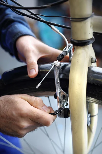 Bike workshop, mechanic exchanges spokes. — Stock Photo, Image