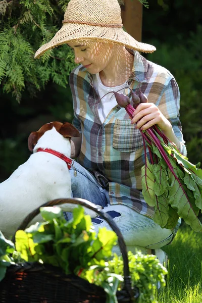 Розслабся в саду. Молода жінка ламає жука — стокове фото