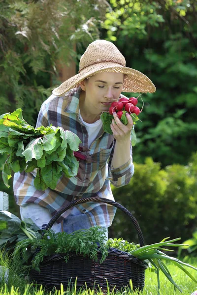 Hortikultura dan sayuran tumbuh . — Stok Foto