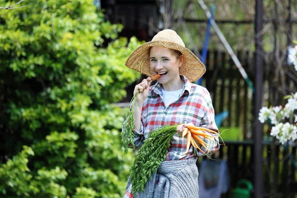 直接从花园里年轻胡萝卜 — 图库照片