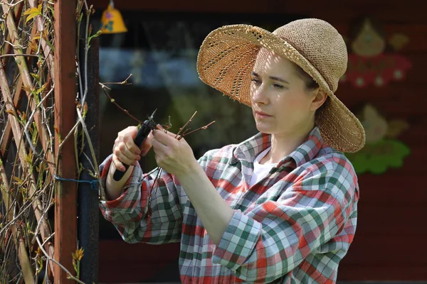 Spring in the garden, plant care. — Stock Photo, Image