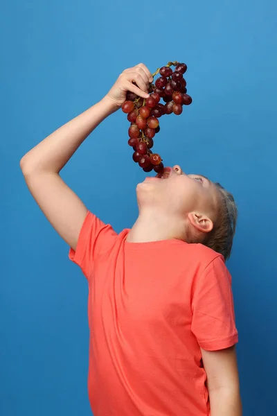 Niño Come Uva Roja Ración Frutas Del Niño Retrato Niño —  Fotos de Stock