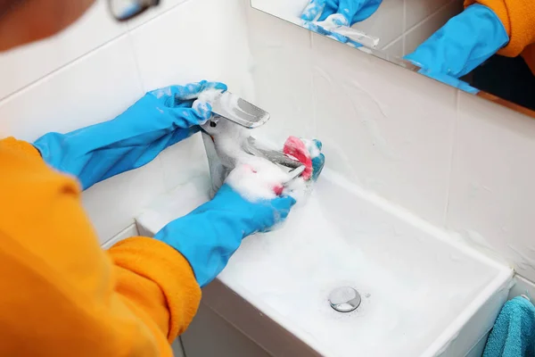Myju Koupelnu Úklid Domu Žena Umývá Umyvadlo Koupelně — Stock fotografie