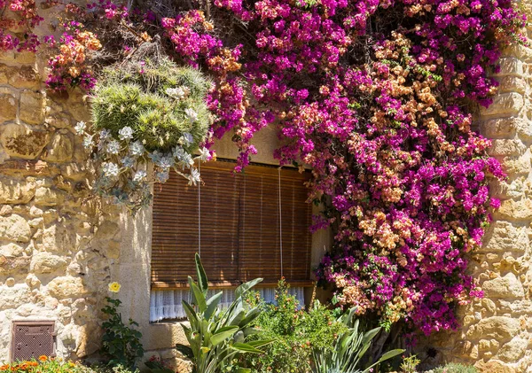 Viejas persianas en la ventana —  Fotos de Stock