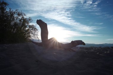 kum tepeleri, ölüm Vadisi Milli Parkı.