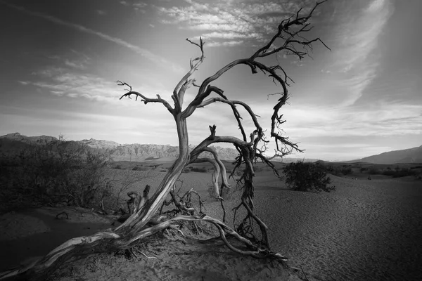 Sanddünen, Death Valley Nationalpark. — Stockfoto