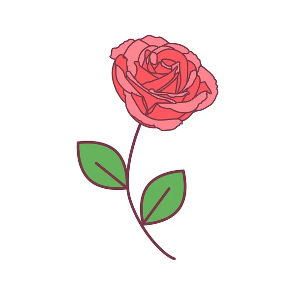 Διάνυσμα Χαριτωμένο Μονό Τριαντάφυλλο Ροζ Τριαντάφυλλο Πράσινα Φύλλα Μακρύ Πράσινο — Διανυσματικό Αρχείο